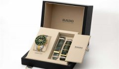 雷达手表机芯生锈了应该咋办